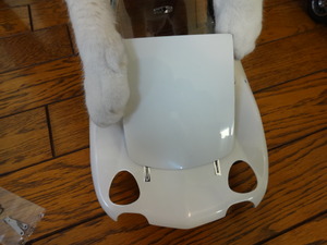 猫の整備士（ＴＯＹＯＴＡ２０００ＧＴ）