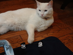 猫の整備士ミルフィー