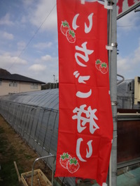 いちご狩り　行くよ～！