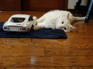 猫の整備士ミルフィー