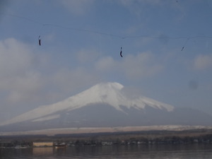 山中湖ワカサギ釣り
