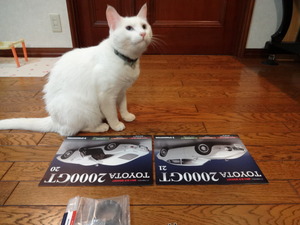 トヨタ２０００ＧＴ（ミルフィー）