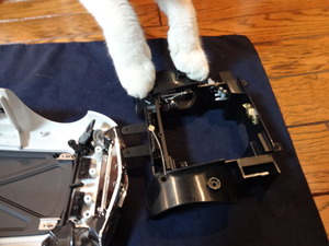 猫の整備士（ミルフィー）