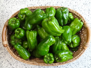 素人野菜研究会