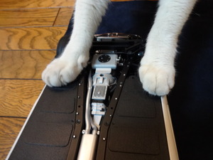 猫の整備士（最終回）