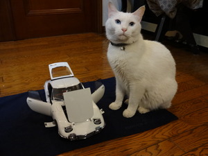 猫の整備士（最終回）