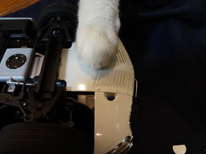 ラスト２０００ＧＴ（猫の整備士）