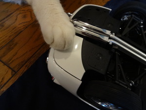 ラスト２０００ＧＴ（猫の整備士）