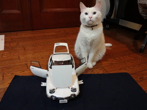ラスト２０００ＧＴ（猫の整備士）