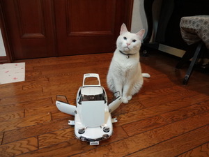 ラスト２０００ＧＴ（猫の整備士）