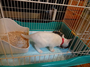 家族が増えた！？