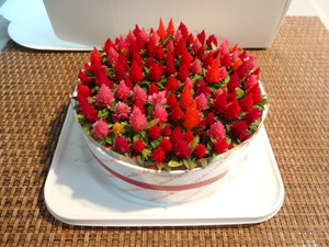 花のケーキ?