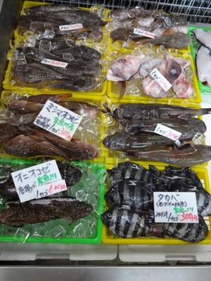 日本海　（ツーリング）