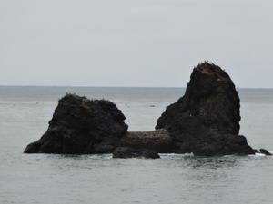 日本海　（ツーリング）