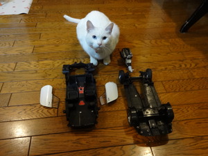 猫の整備士ミルフィー