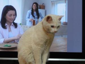 脱走物語　ミルフィー