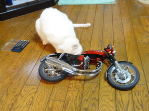 ＣＢ750Ｆｏｕｒ　ＮＯ，34