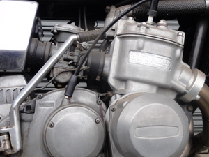 水牛（ＧＴ７５０）
