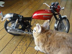 ＣＢ７５０Ｆｏｕｒ　ＮＯ、３７