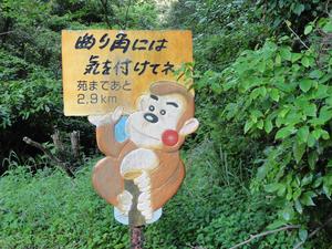 猿の道案内（西伊豆）