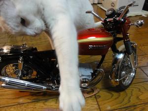 ＣＢ７５０Ｆour NO38