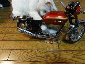 ＣＢ750レストア日記