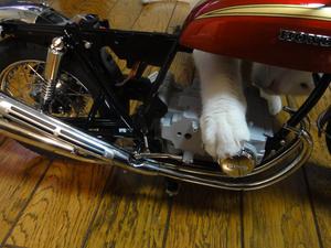 ＣＢ７５０Ｆｏｕｒ　ＮＯ，４０