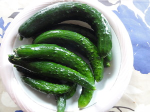 素人野菜研究会
