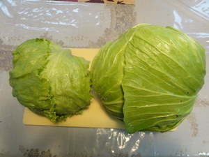 素人野菜研究会