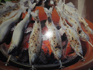 鮎のろばた焼き