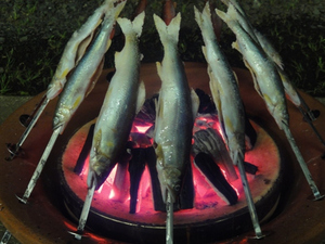 鮎のろばた焼き