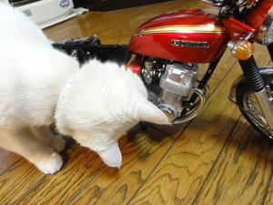 CB750Four NO43