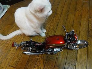 CB750Four  NO,44