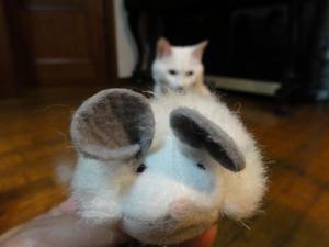 猫をねずみで釣る！