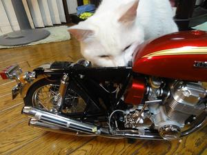 CB750Four　NO,47