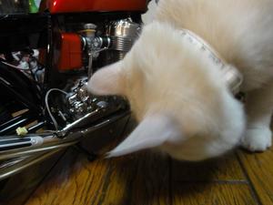 CB750Four　NO,47