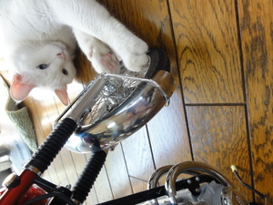 CB750Four（猫の整備士