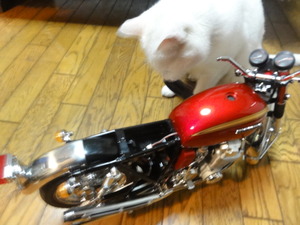 猫の整備士ＣＢ７５０Ｆｏｕｒ　（ＮＯ、５０）