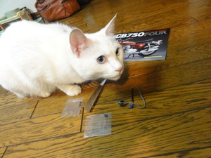 猫のＣＢ７５０Ｆｏｕｒ