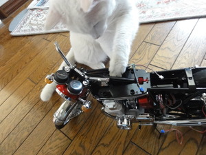 猫のＣＢ７５０Ｆｏｕｒ