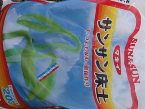 やばい！白菜