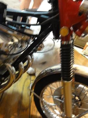猫のバイク組み立て