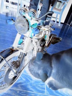 猫のバイク組み立て