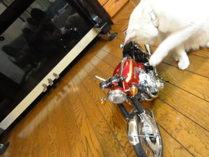 猫のバイク組み立て