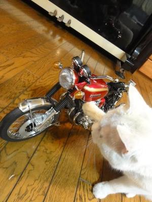 猫のバイク組み立て