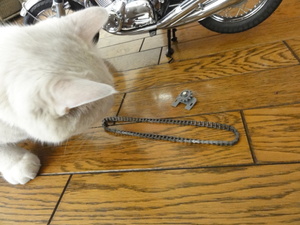 猫の挑戦（ＣＢ７５０）組み立て