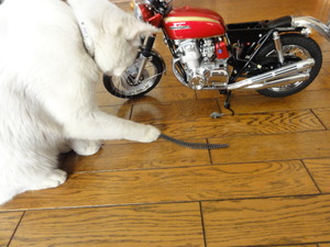 猫の挑戦（ＣＢ７５０）組み立て