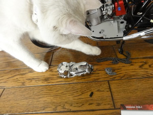 猫の挑戦（ＣＢ７５０）組み立て