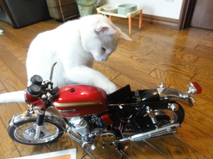 猫のＣＢ７５０組み立て