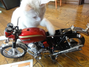 猫のＣＢ７５０組み立て